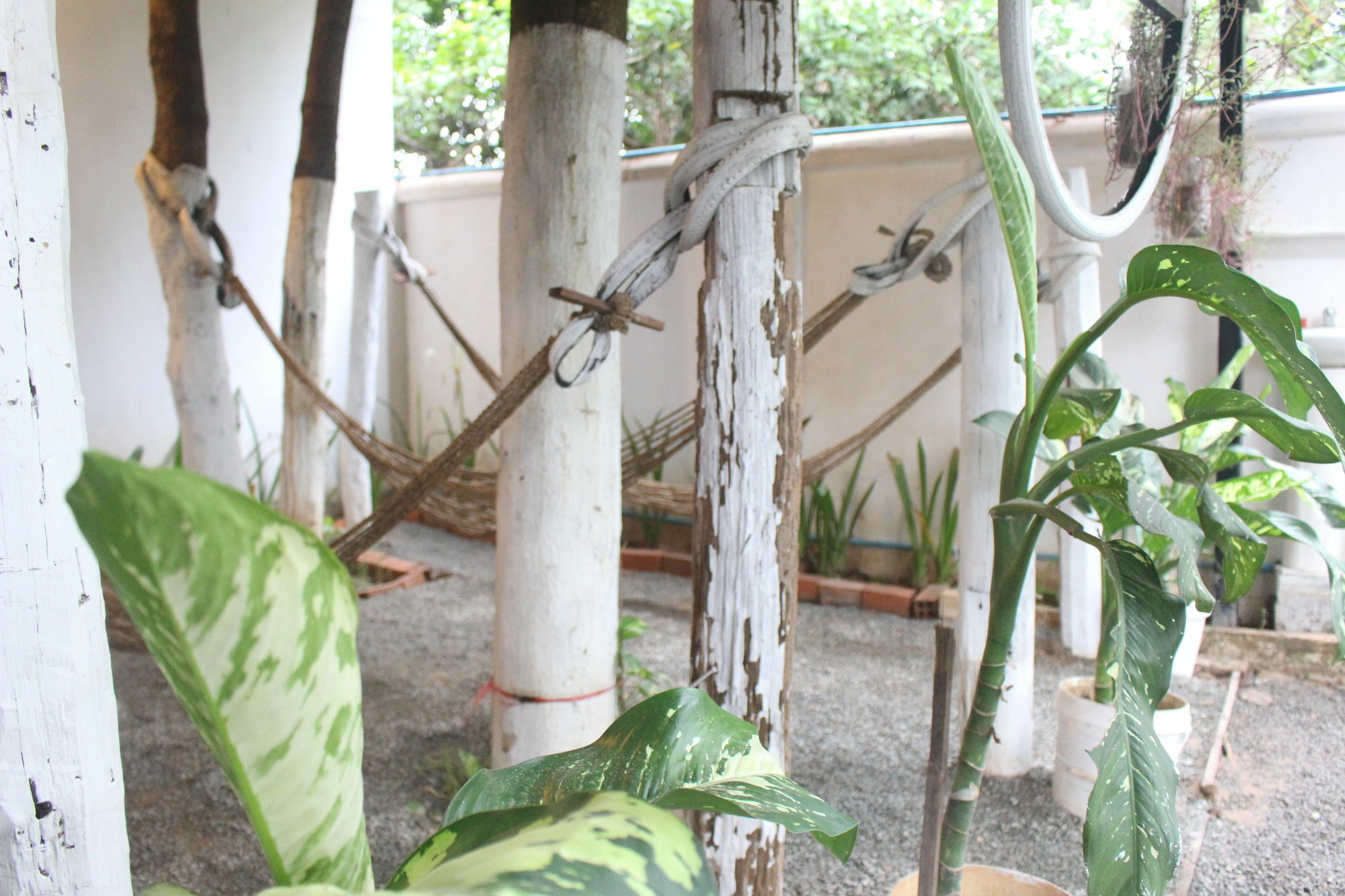 Eco-Home Siem Reap Homestay Kültér fotó