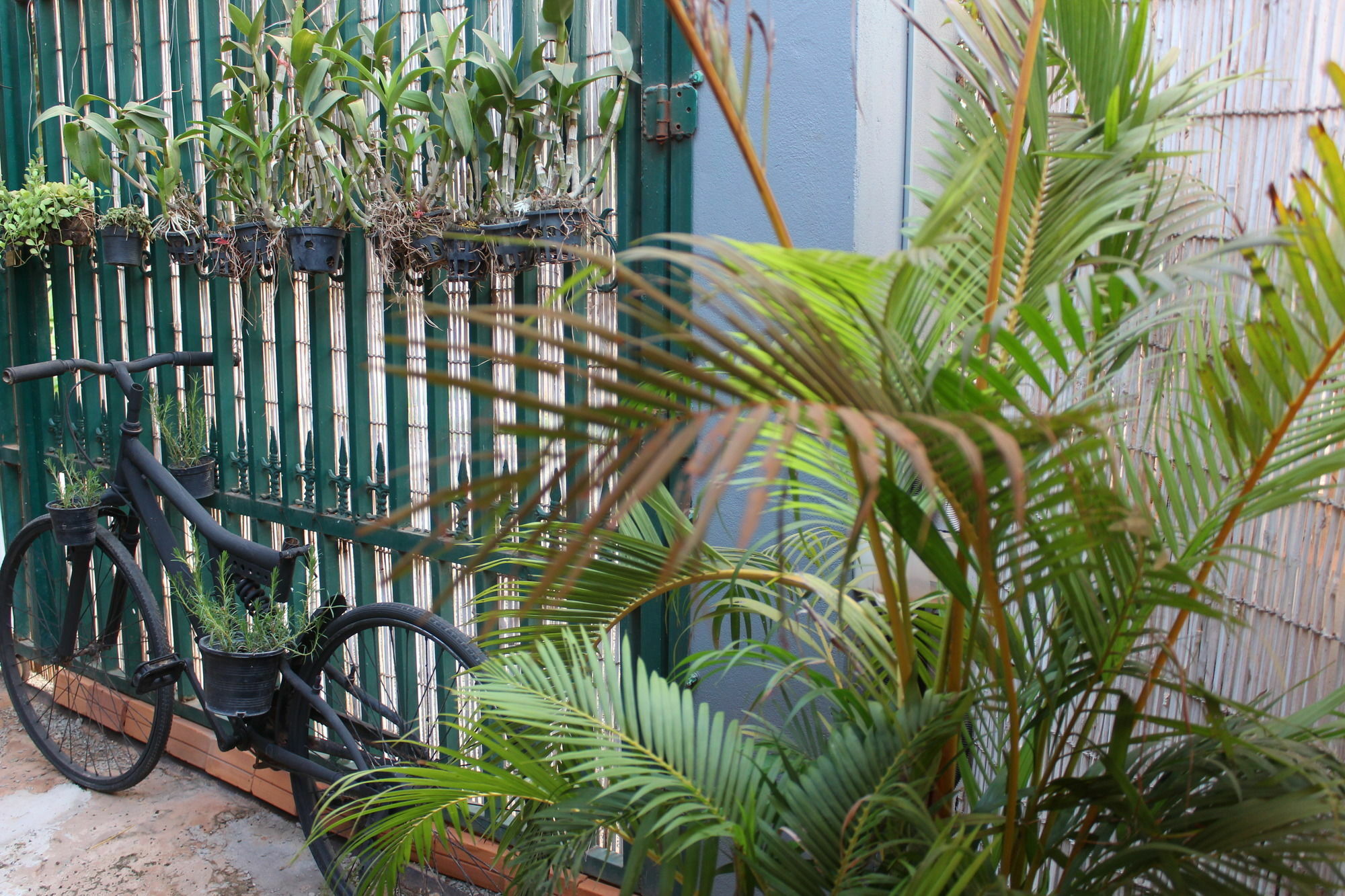 Eco-Home Siem Reap Homestay Kültér fotó