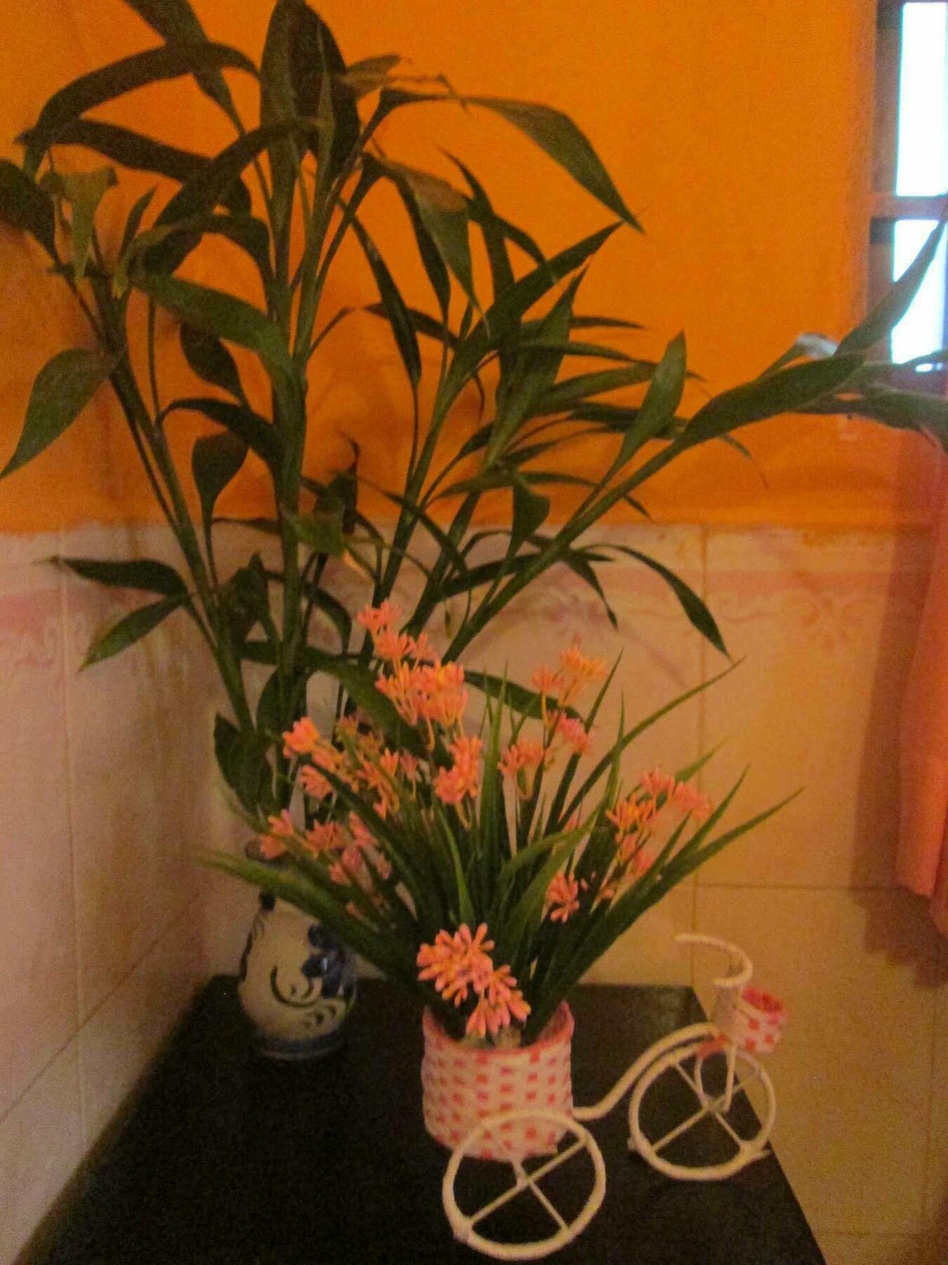 Eco-Home Siem Reap Homestay Kültér fotó