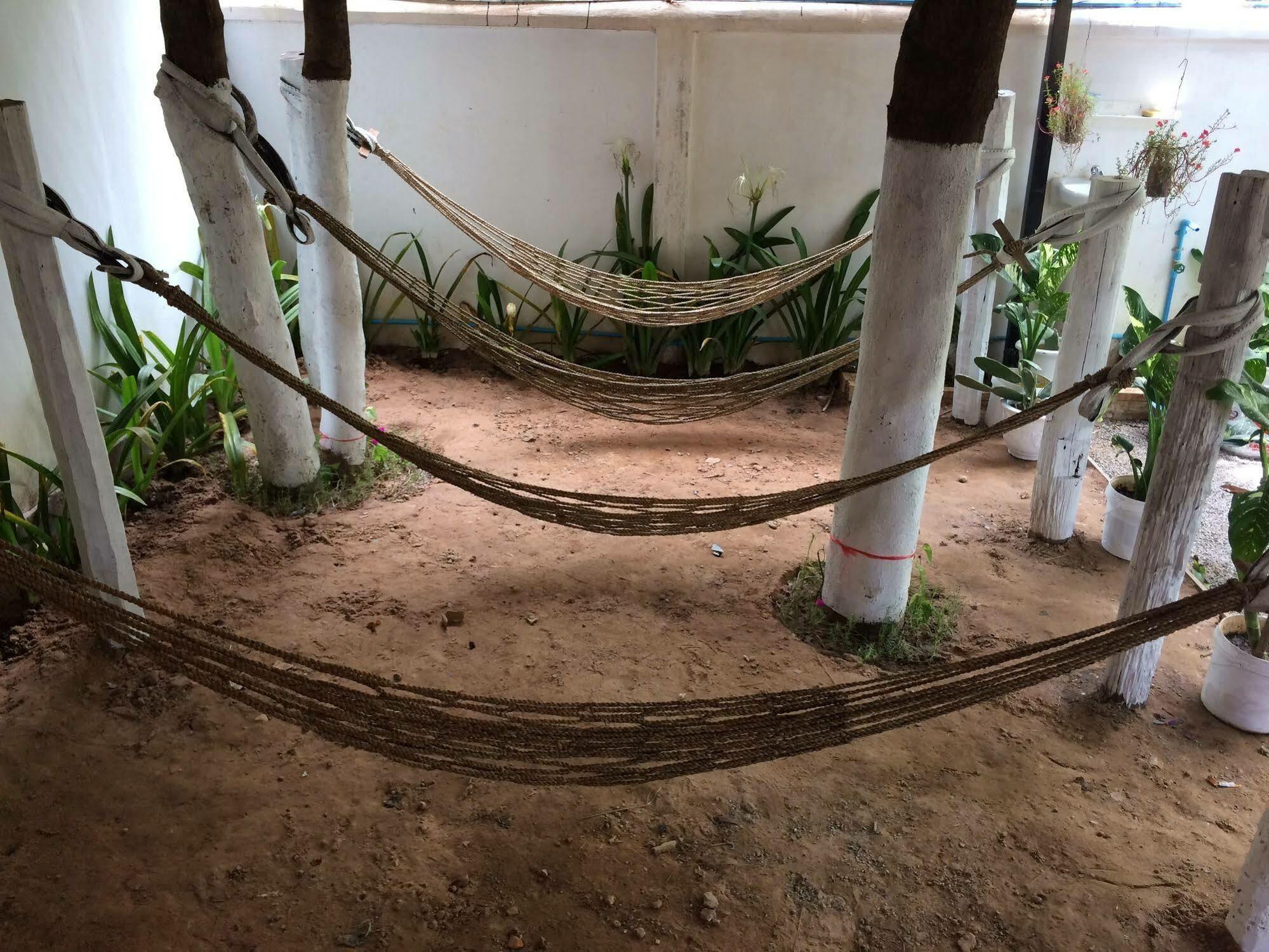 Eco-Home Siem Reap Homestay Kültér fotó